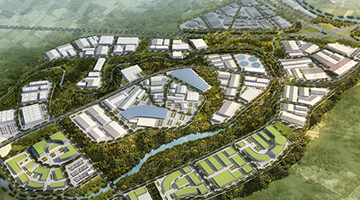 �����F��˾-�����h(hu��n)�����F�����l(f��)չ��(zh��n)��Ҏ(gu��)����-�ɶ���(zh��n)�Թ�����ԃ��˾